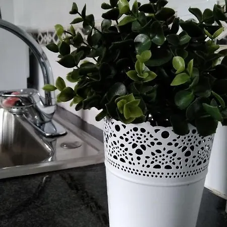 Tomarhousing - Garden * Tomar