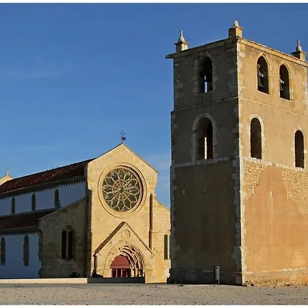 Tomarhousing - Garden *