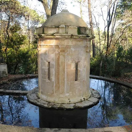 Tomarhousing - Garden *