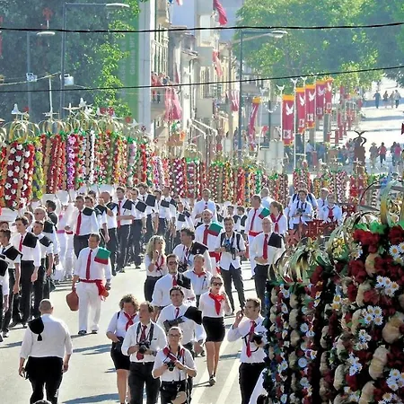 Apartman Tomarhousing - Garden