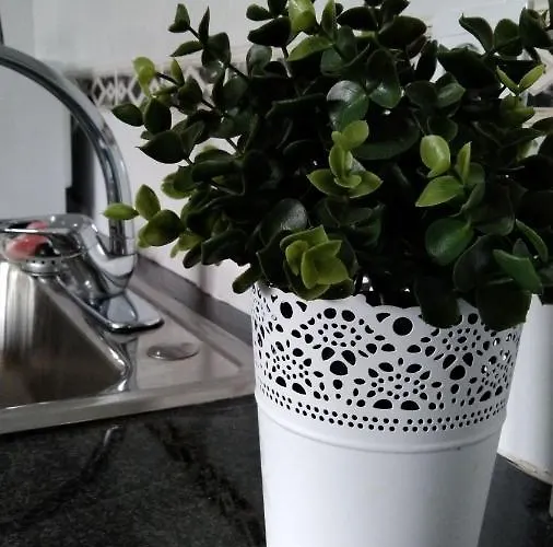 Tomarhousing - Garden * Tomar