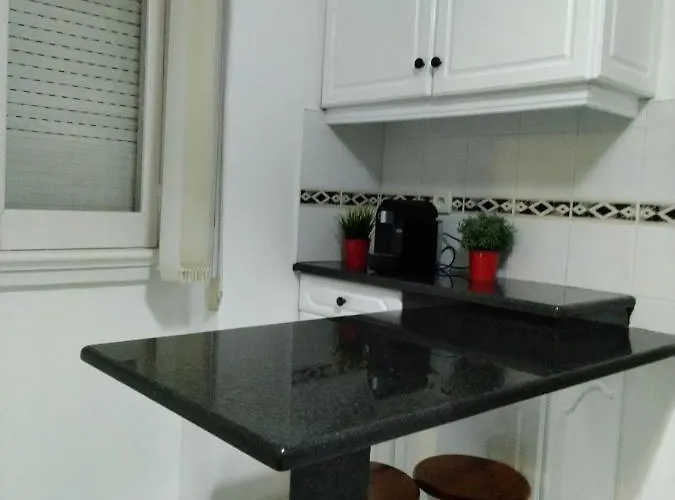 Tomarhousing - Garden Tomar