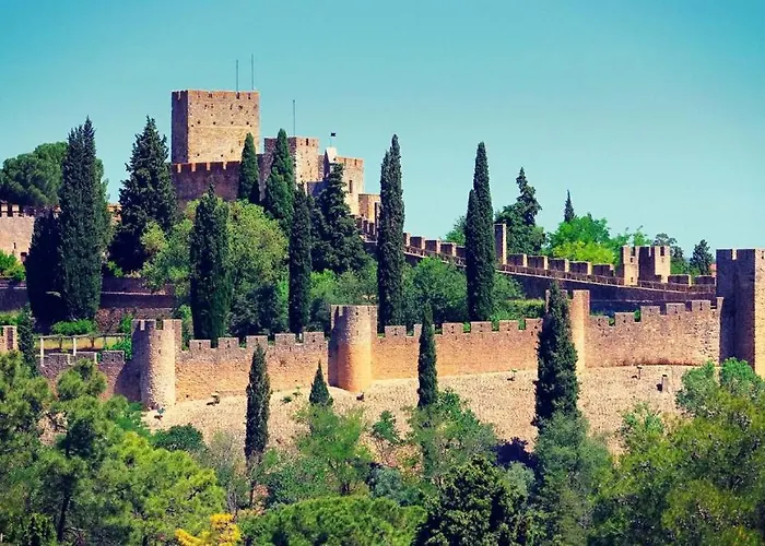 公寓 Tomarhousing - Garden 托马尔