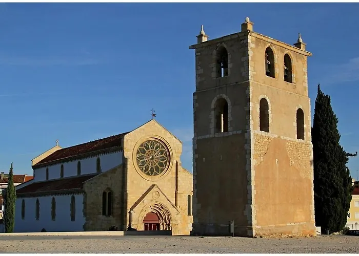 Tomarhousing - Garden *