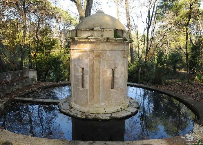 Tomarhousing - Garden *