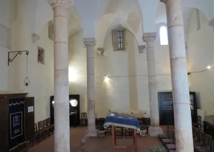 Tomarhousing - Garden 托马尔