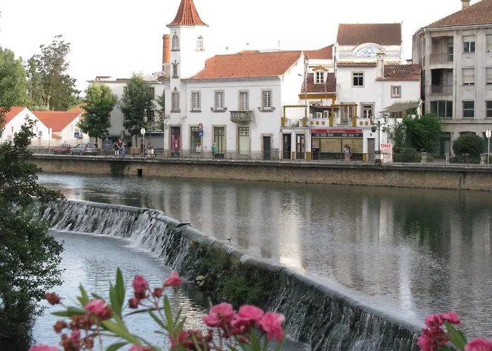 Tomarhousing - Garden *