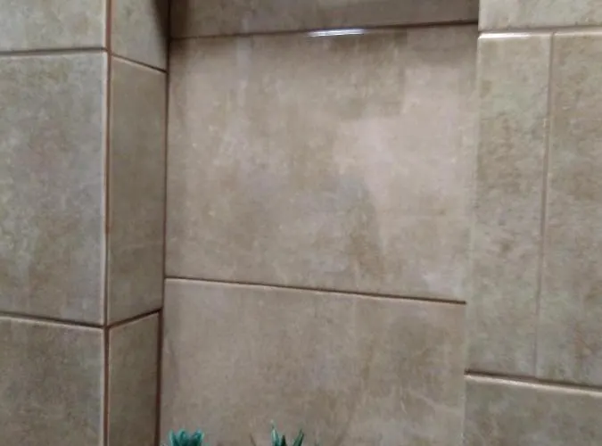 Tomarhousing - Garden Apartament Tomar